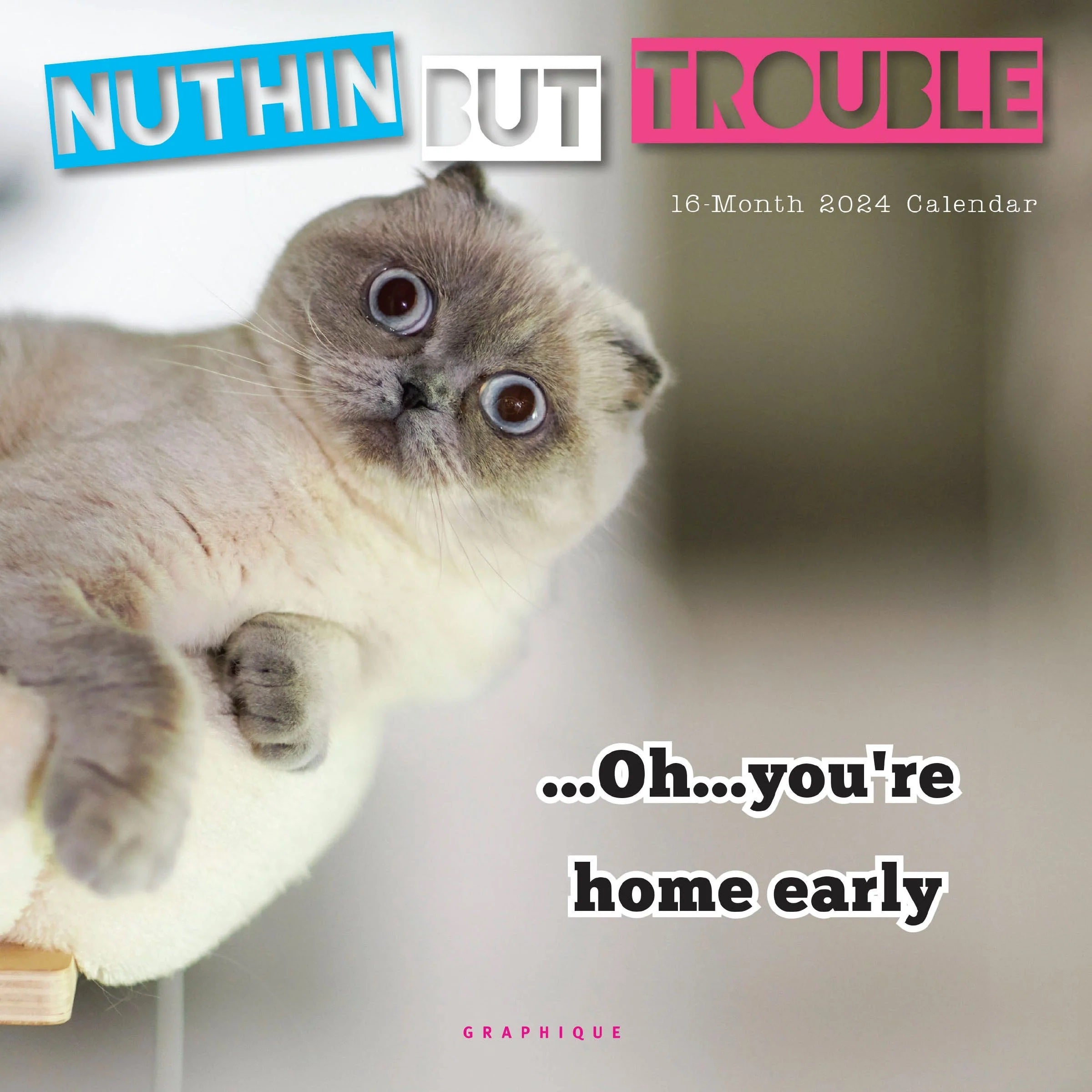 2024 Nuthin But Trouble Mini - Graphique 9781664819573