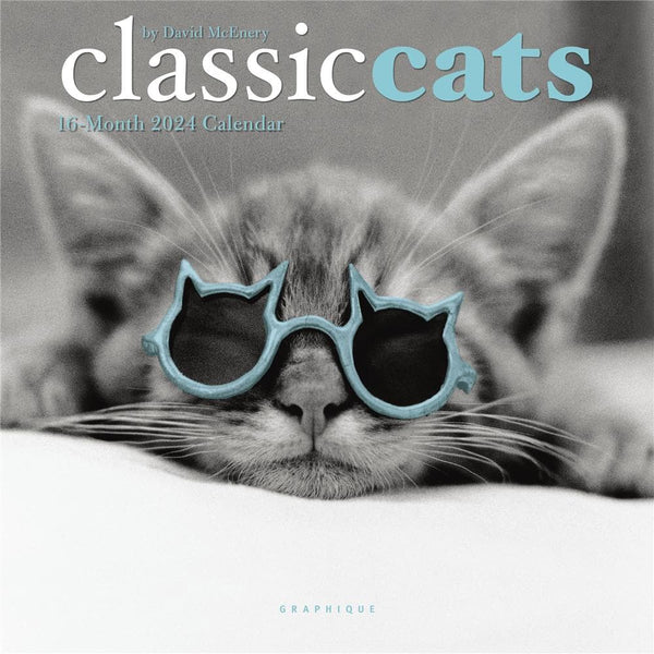 2024 Classic Cat Mini Calendar - Graphique 9781664819580