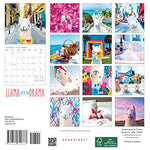 2024 Llama With No Drama Mini - Graphique 9781664820333_0107f293-2a34-469f-a3e2-6913d9a0a7d0