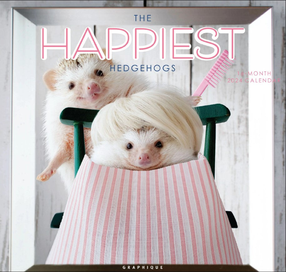 2024 Happiest Hedgehog Mini - Graphique 9781664820357