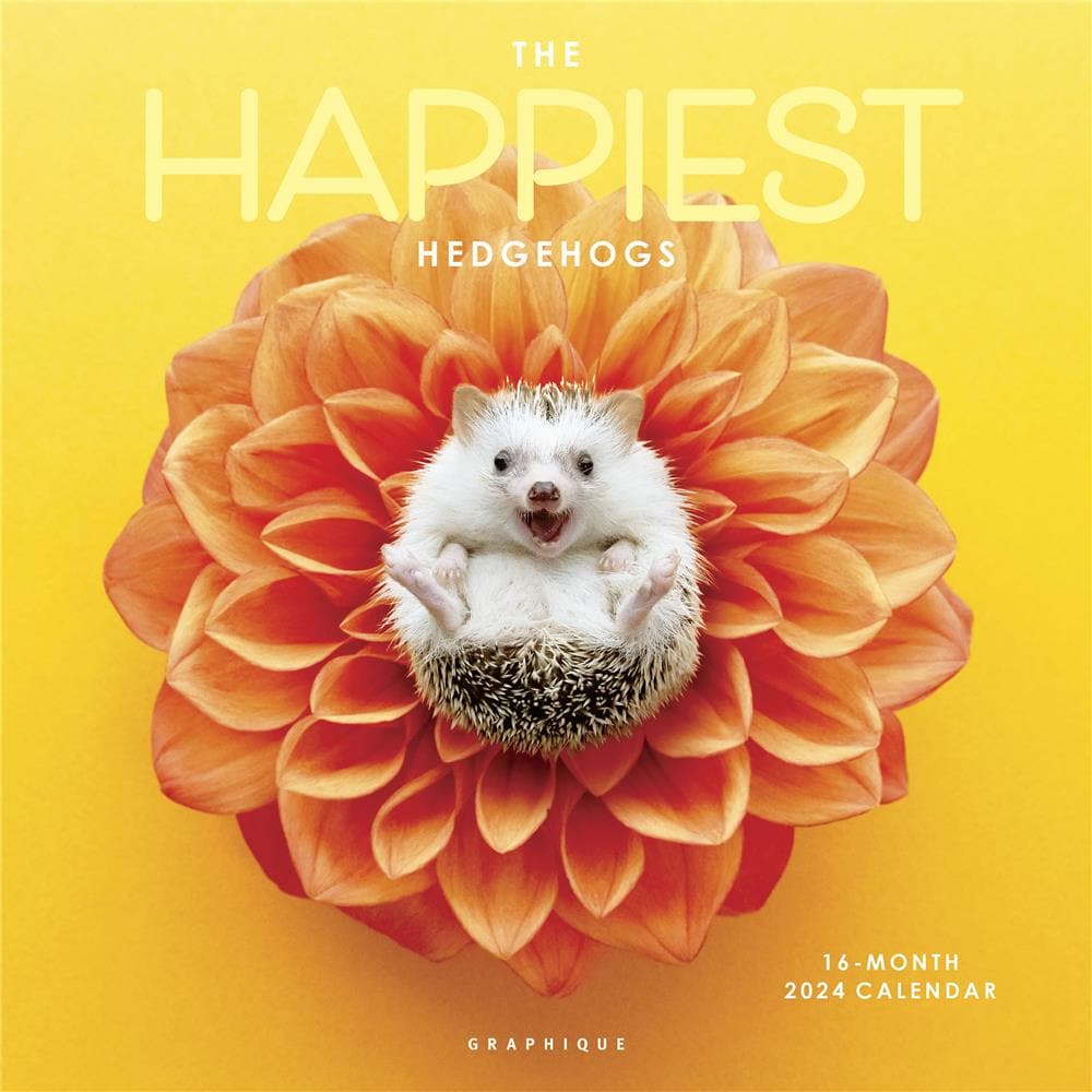 2024 The Happiest Hedgehog - Graphique 9781664821262