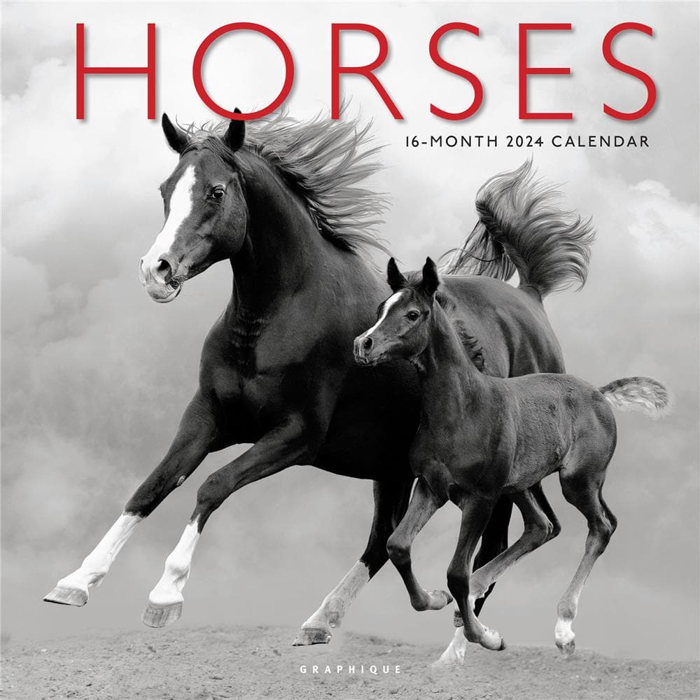 2024 Horses Wall Calendar - Graphique 9781664821392