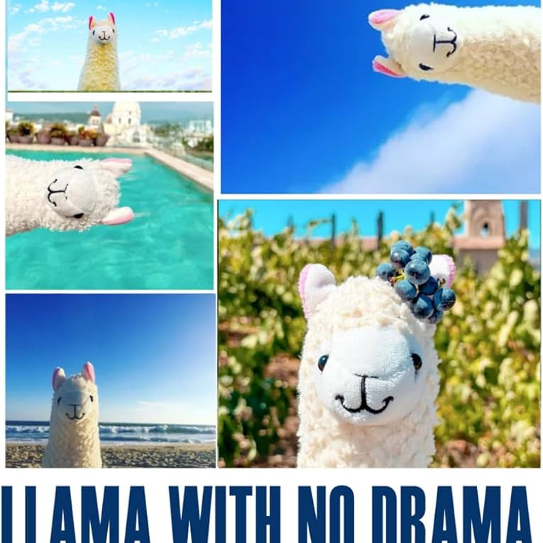 2025 Llama With No Drama Mini Calendar 9781664831926