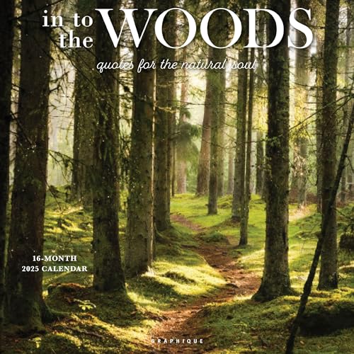 2025 In To The Woods Wall Calendar 9781664836723
