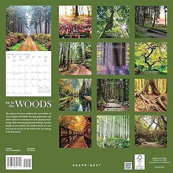 2025 In To The Woods Wall Calendar 9781664836723_9c9f0a53-ea67-4dc2-b4e1-d72aa33d7d79