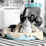 2026 Classic Cats 7X7 Mini Wall Calendar 9781664843899