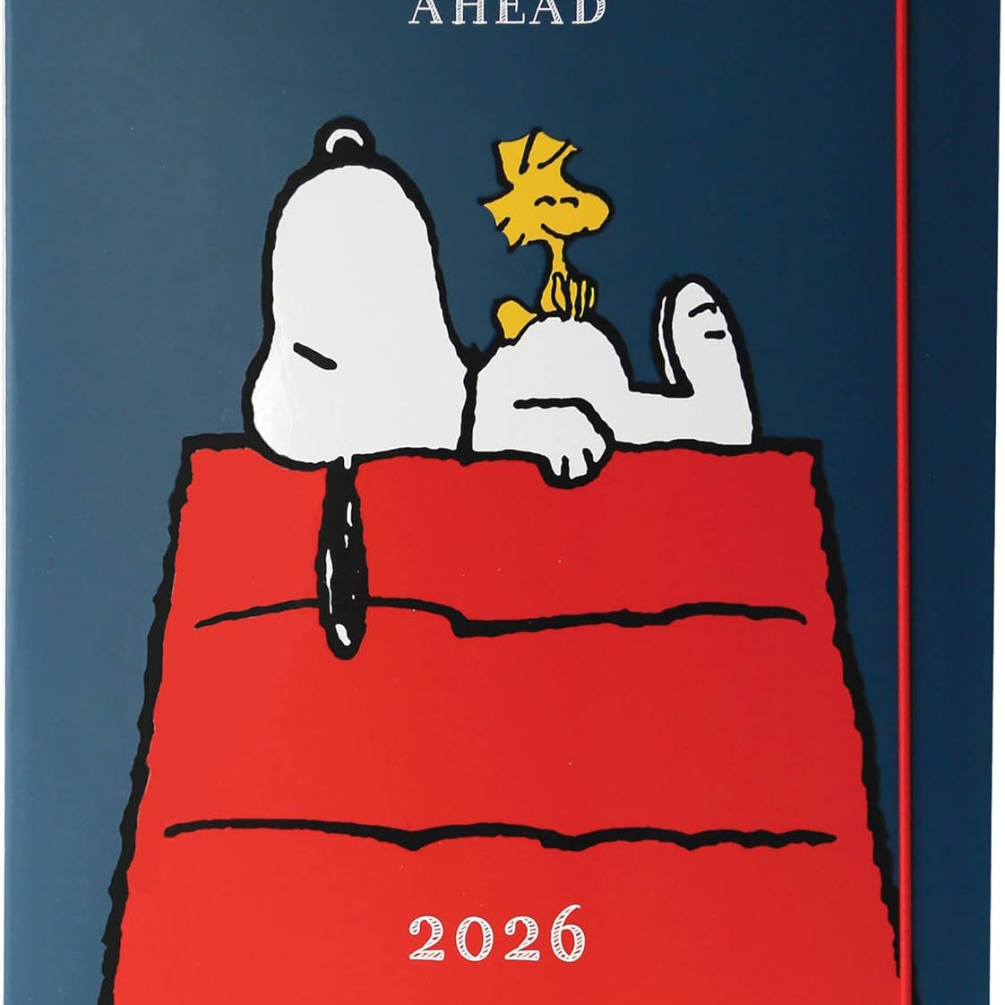 2026 Snoopy On House 8X10 Monthly Planner 9781664844391