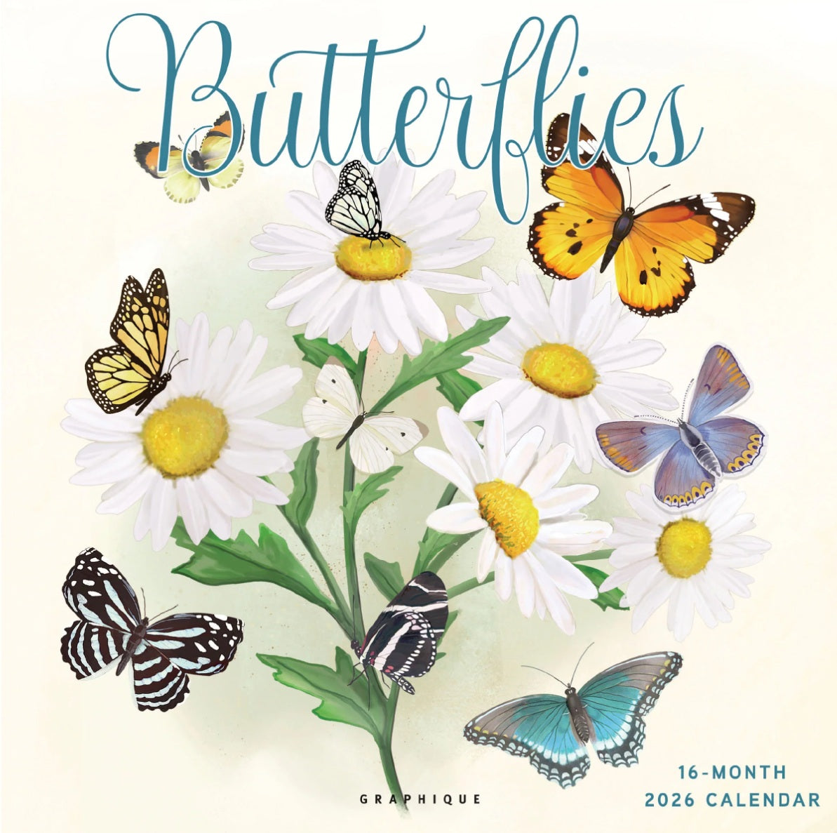 2026 Butterflies 12X12 Wall Calendar 9781664844728
