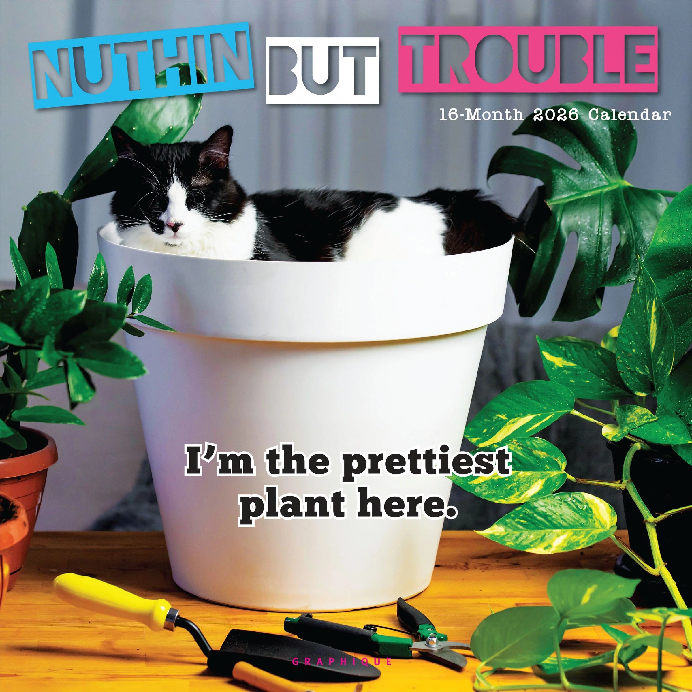 2026 Nuthin' But Trouble 12X12 Wall Calendar 9781664844759