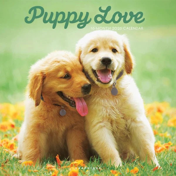 2026 Puppy Love 12X12 Wall Calendar 9781664844773