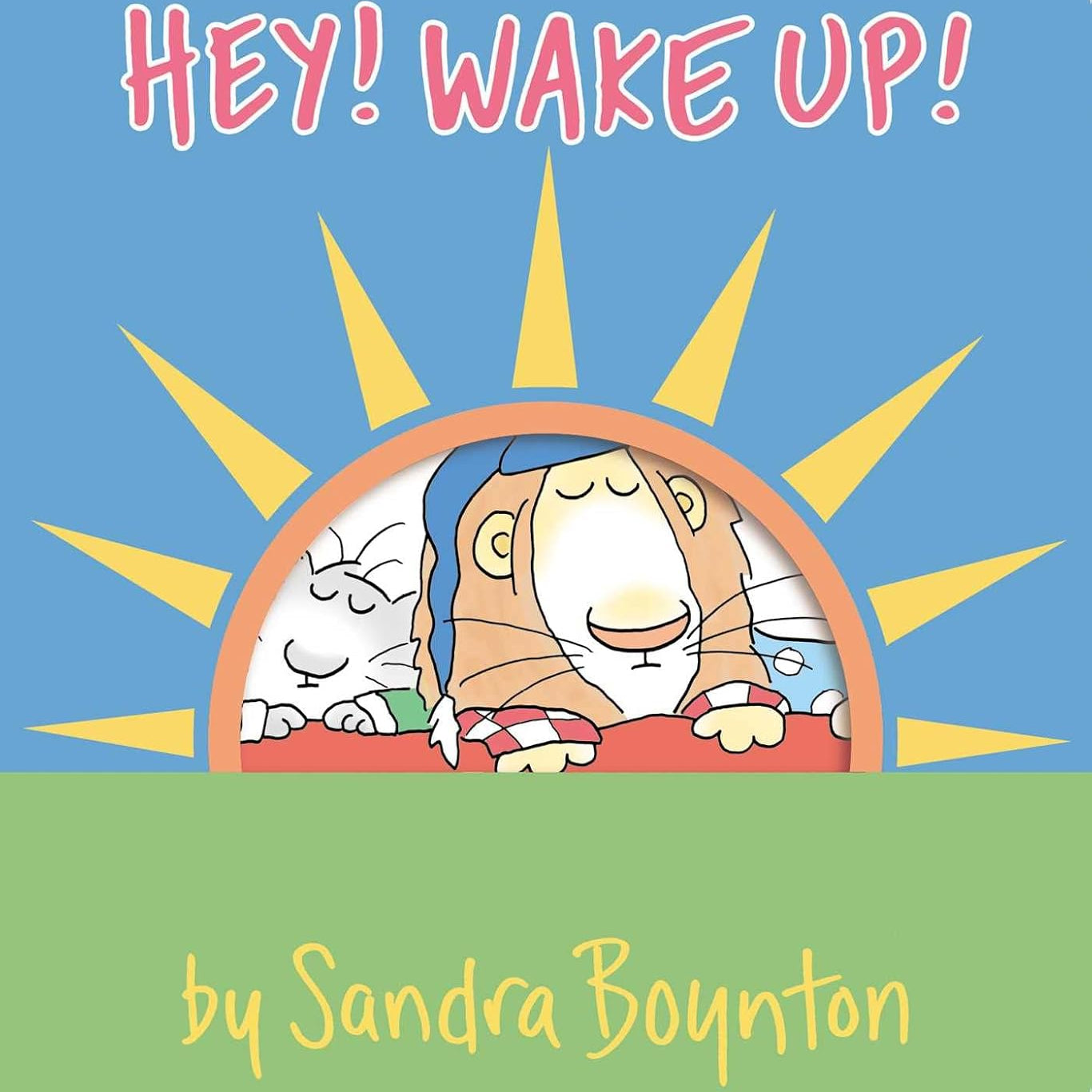 Hey! Wake Up! by Boynton. Sandra 9781665925099
