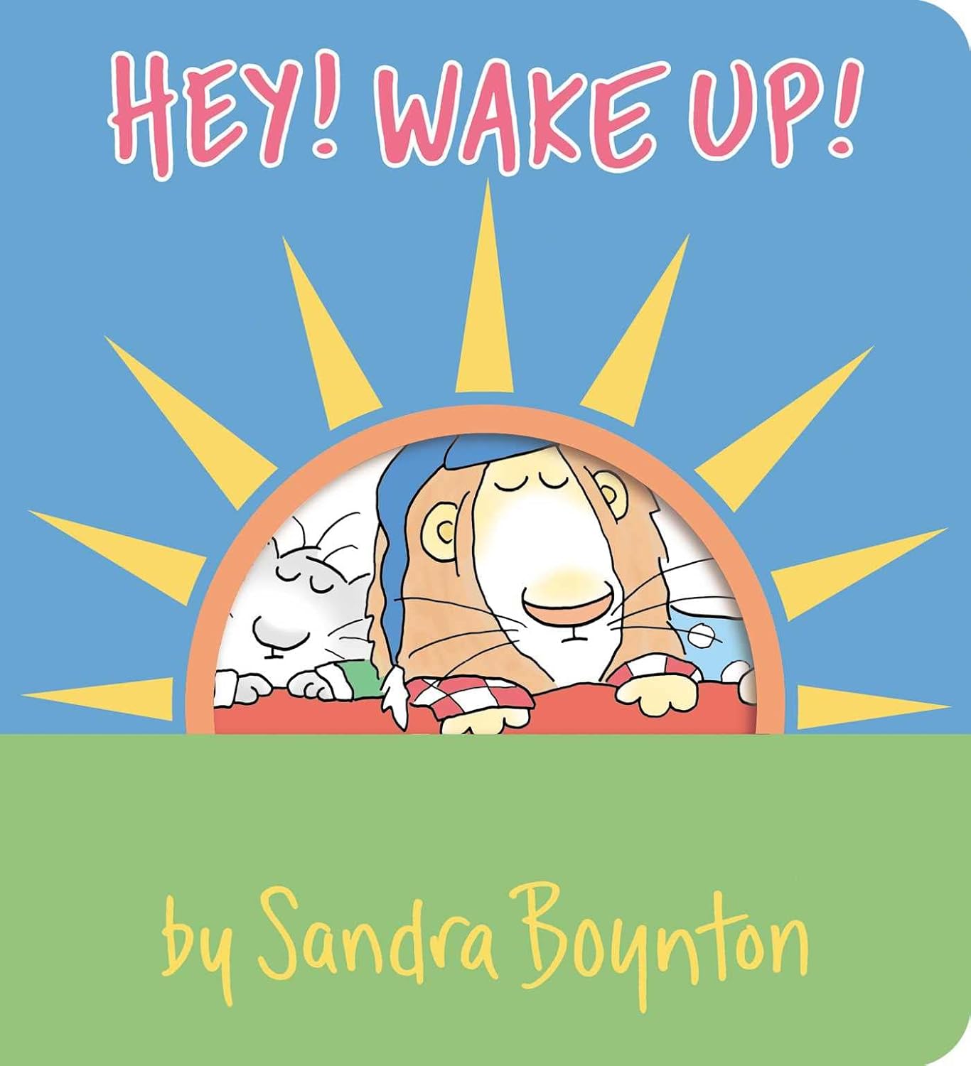 Hey! Wake Up! by Boynton. Sandra 9781665925099