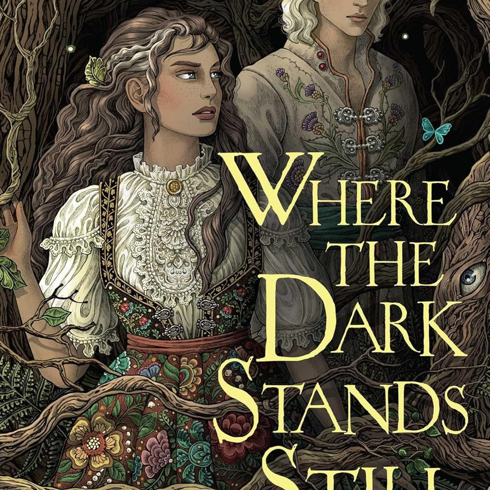 Where The Dark Stands Still by Poranek. A B 9781665936484