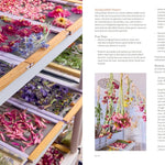 Preserving The Seasons by Capelle. Holly 9781668026298_4