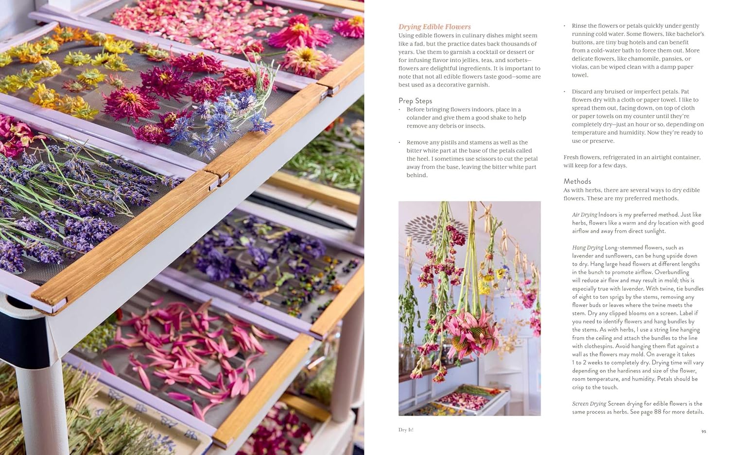 Preserving The Seasons by Capelle. Holly 9781668026298_4