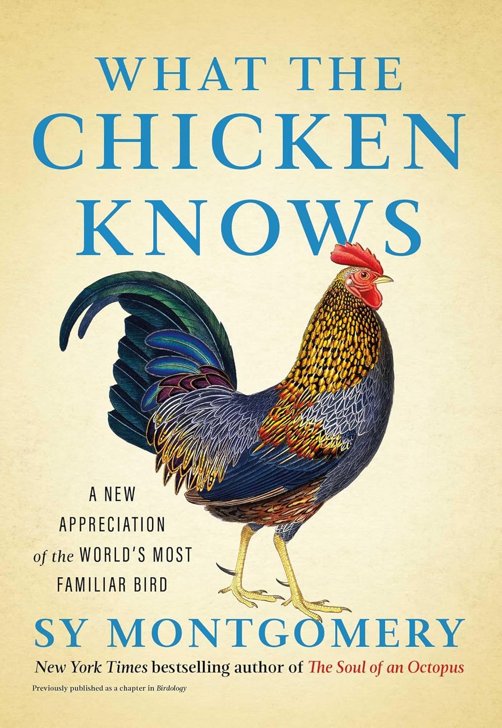 What The Chicken Knows by Montgomery. Sy 9781668047361