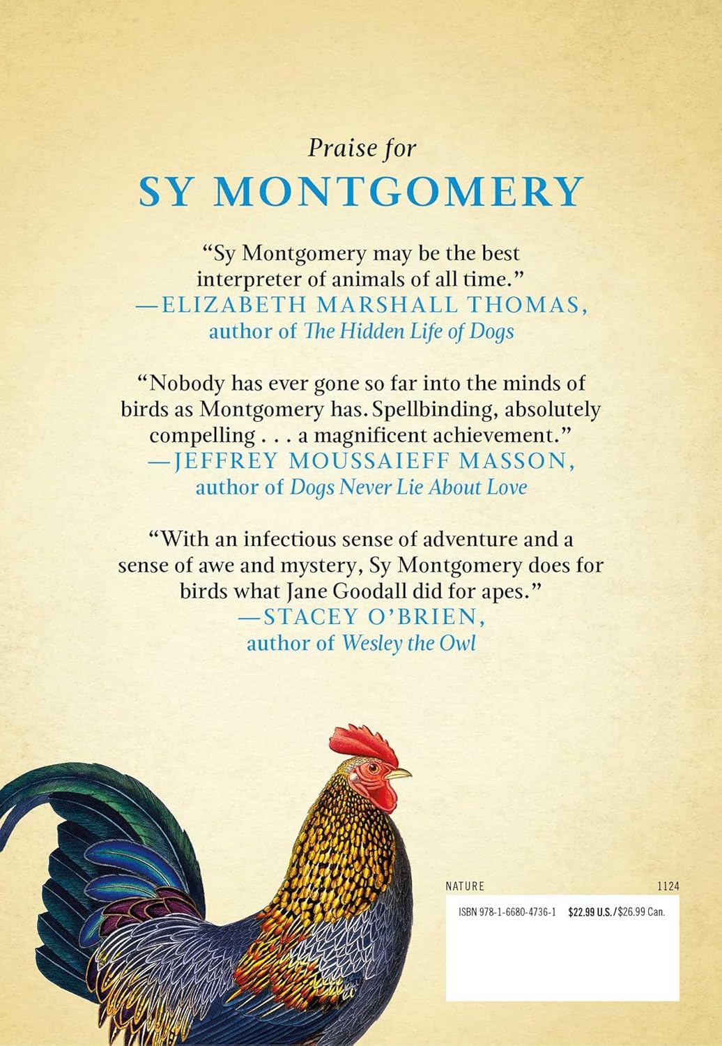 What The Chicken Knows by Montgomery. Sy 9781668047361_1