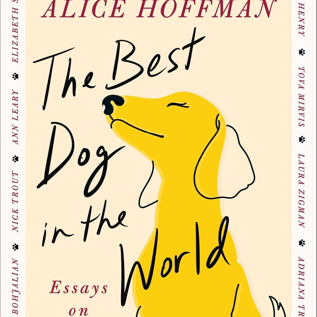 The Best Dog In The World: Essays On Love by Hoffman. Alice 20 9781668209028_3e1edd7d-82b9-4c74-959d-b6ca1d04879f