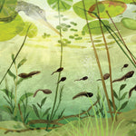 Slide image