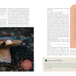 52 Ways To Nature: Washington by Braden. Lauren 9781680513134_4