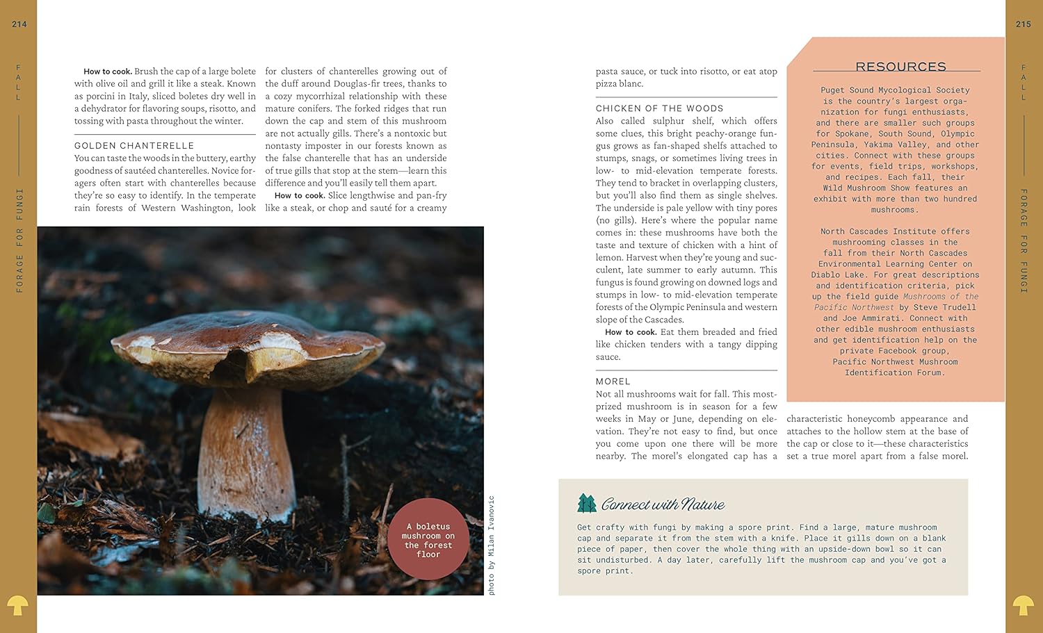 52 Ways To Nature: Washington by Braden. Lauren 9781680513134_4