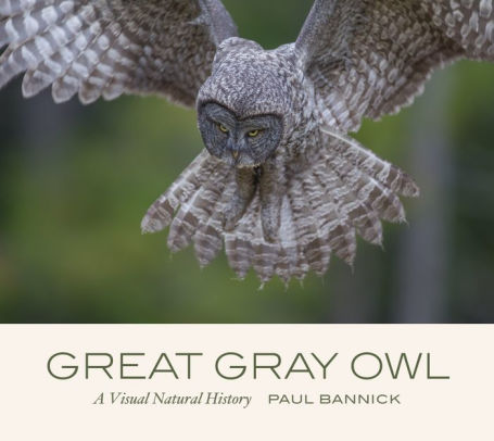 GREAT GRAY OWL - BANNICK. PAUL 9781680513356_d9859e1e-225e-4944-a6bd-04a51927cce8