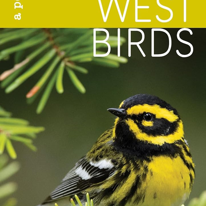 Pacific Northwest Birds: Forest & Mountains (A Pocket Reference) by Vyn. Gerrit 9781680515268