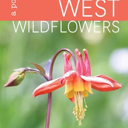 Pacific Northwest Wildflowers: A Pocket Reference by Barnes. Nathan & Jeremy 9781680515282