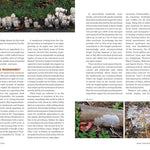 Fruits Of The Forest: A Field Guide To Pnw Edible Mushrooms by Winkler. Daniel 9781680515305_2