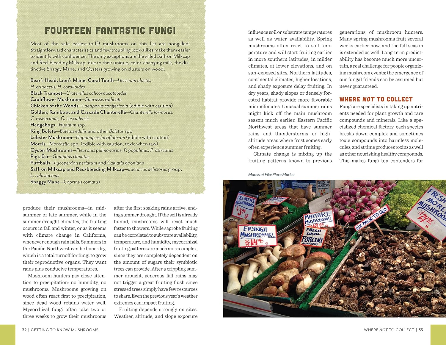 Fruits Of The Forest: A Field Guide To Pnw Edible Mushrooms by Winkler. Daniel 9781680515305_4