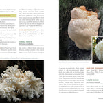 Fruits Of The Forest: A Field Guide To Pnw Edible Mushrooms by Winkler. Daniel 9781680515305_6