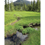 Day Hiking Central Cascades 2Nd Ed 9781680515572_8