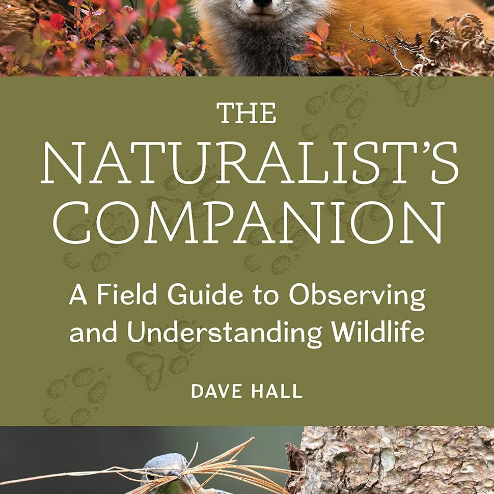 The Natrualist's Companion: A Field Guide to Observing & Understanding Wildlife by Hall. Dave 20 9781680515763