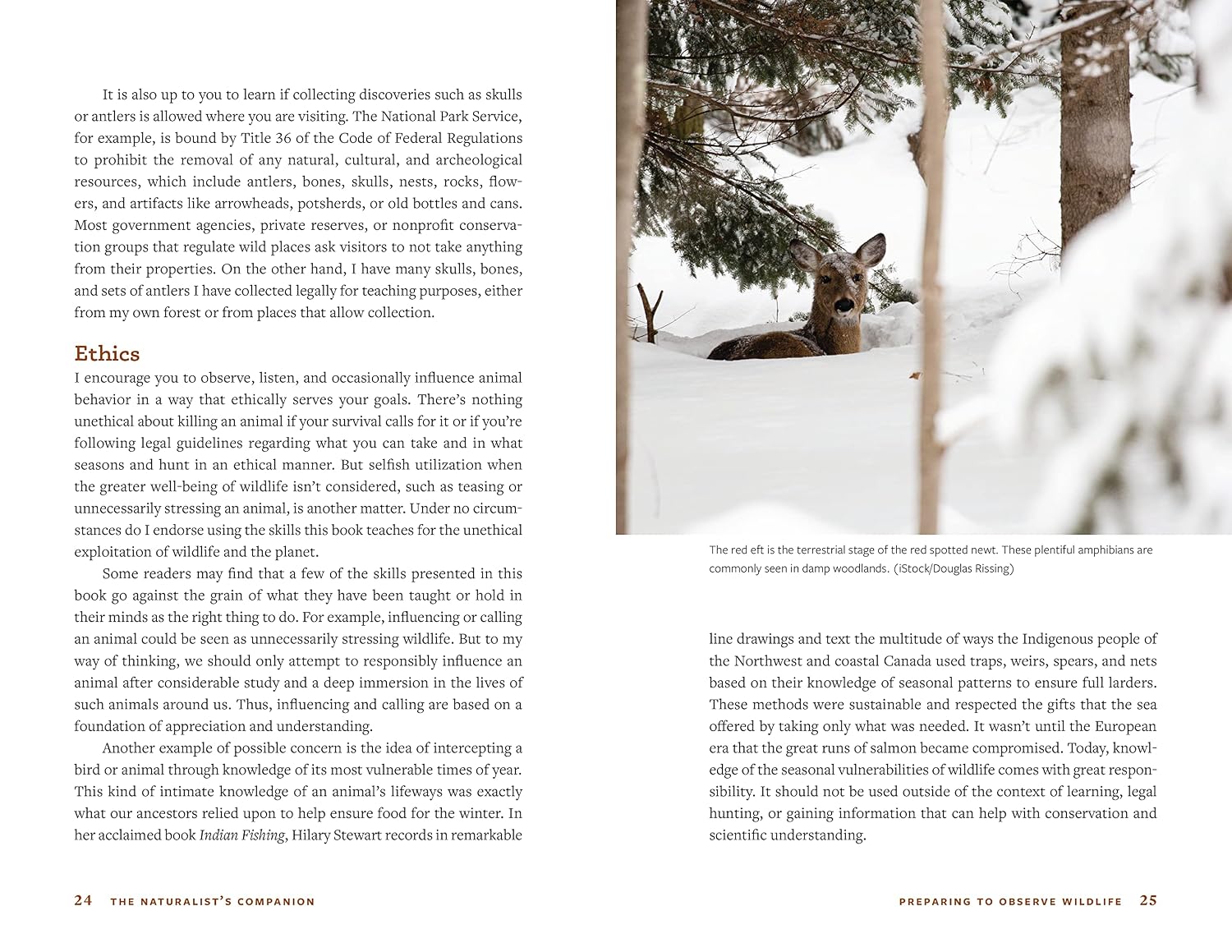 The Natrualist's Companion: A Field Guide to Observing & Understanding Wildlife by Hall. Dave 20 9781680515763_1
