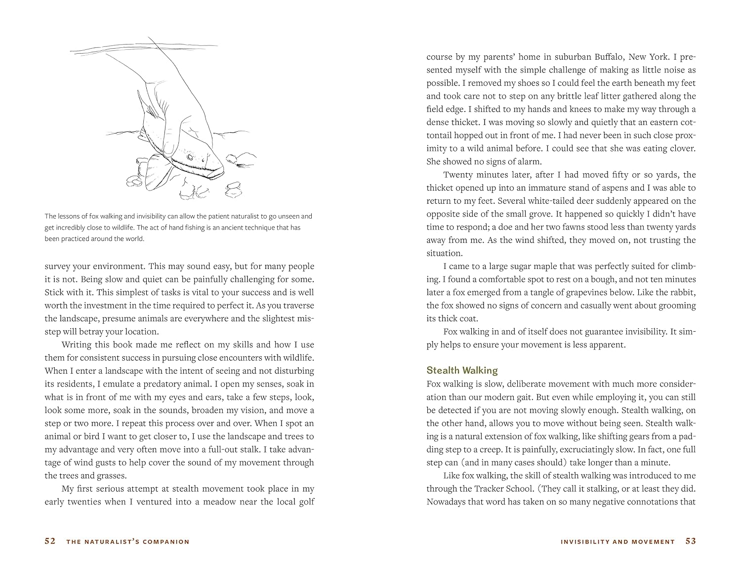 The Natrualist's Companion: A Field Guide to Observing & Understanding Wildlife by Hall. Dave 20 9781680515763_2