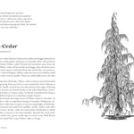 Cascadia Field Guide: Art, Ecology, Poetry by Fuhrman. Cmarie ; Bradfield. Eliza 9781680516227_6