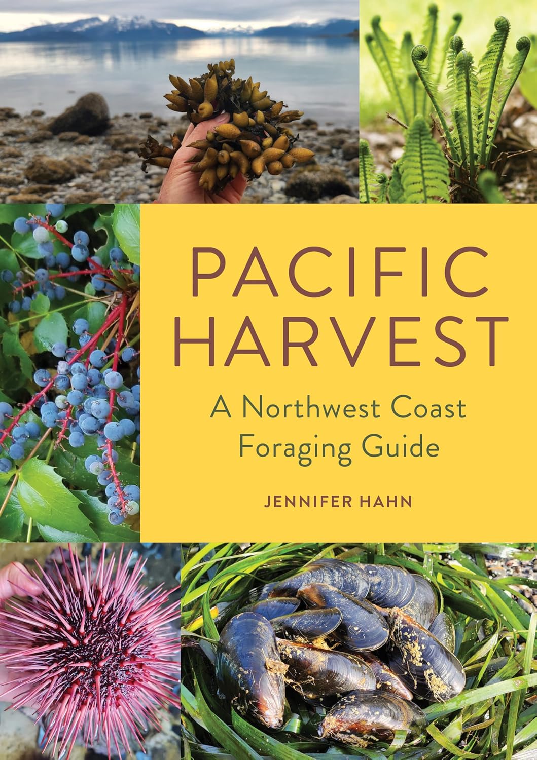 Pacific Harvest: A Northwest Coast Foraging Guide by Hahn. Jennifer 9781680516685