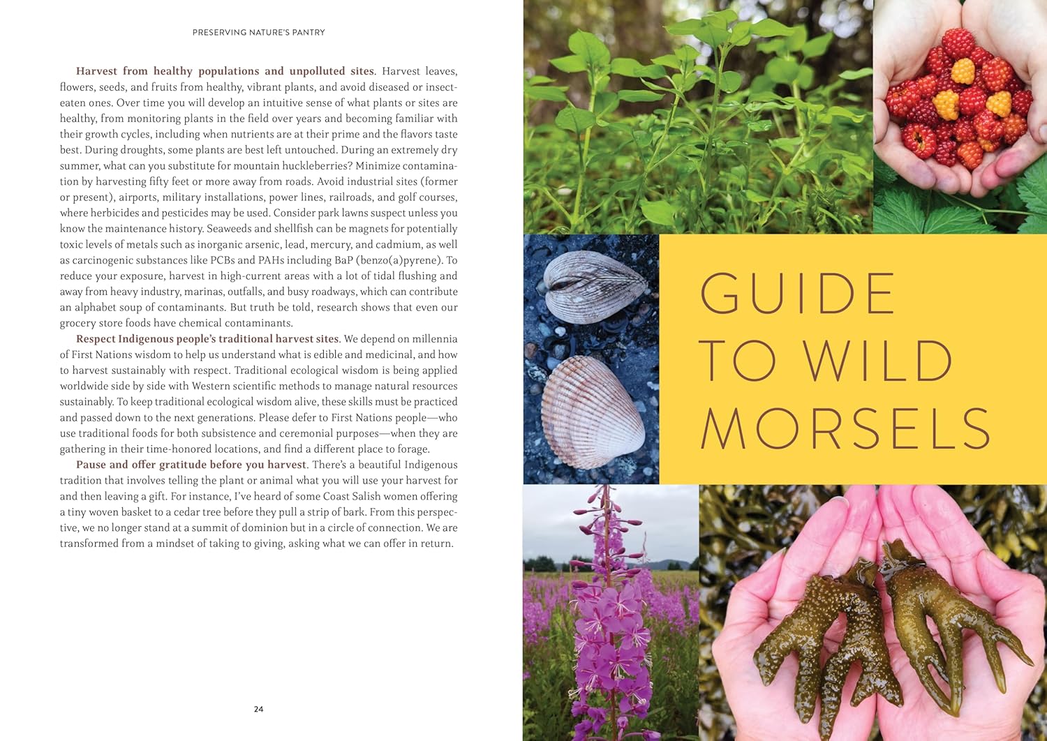 Pacific Harvest: A Northwest Coast Foraging Guide by Hahn. Jennifer 9781680516685_1