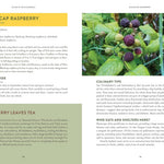 Pacific Harvest: A Northwest Coast Foraging Guide by Hahn. Jennifer 9781680516685_2