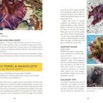 Pacific Harvest: A Northwest Coast Foraging Guide by Hahn. Jennifer 9781680516685_3