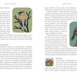 Birding For Boomers: And Everyone Else Brace Enough by Collard Iii. Sneed B. 9781680516708_3