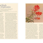 Wildflowers Of The West: An Artist's Guide by Hashimoto. Molly 9781680516937_2