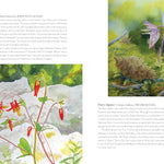 Wildflowers Of The West: An Artist's Guide by Hashimoto. Molly 9781680516937_3
