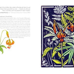 Wildflowers Of The West: An Artist's Guide by Hashimoto. Molly 9781680516937_4