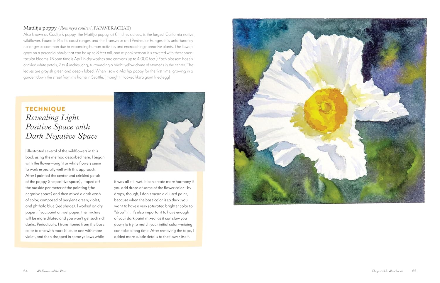 Wildflowers Of The West: An Artist's Guide by Hashimoto. Molly 9781680516937_5