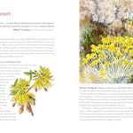 Wildflowers Of The West: An Artist's Guide by Hashimoto. Molly 9781680516937_7
