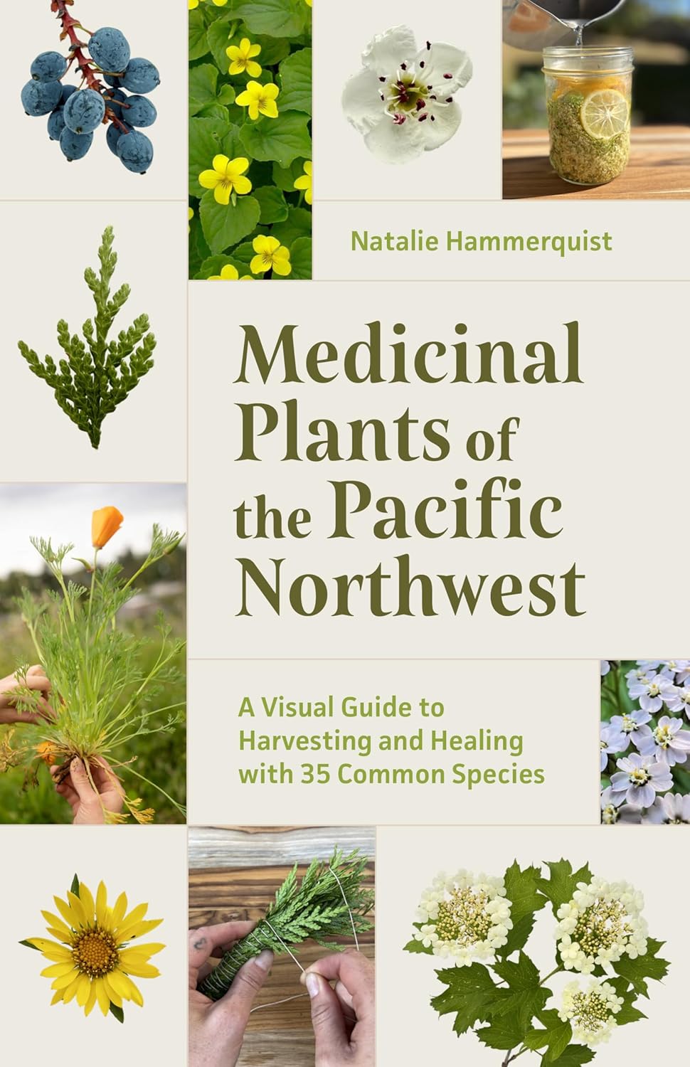 Medicinal Plants Of The Pnw: A Visual Guide To Harvesting & Healing by Hammerqui 9781680516975