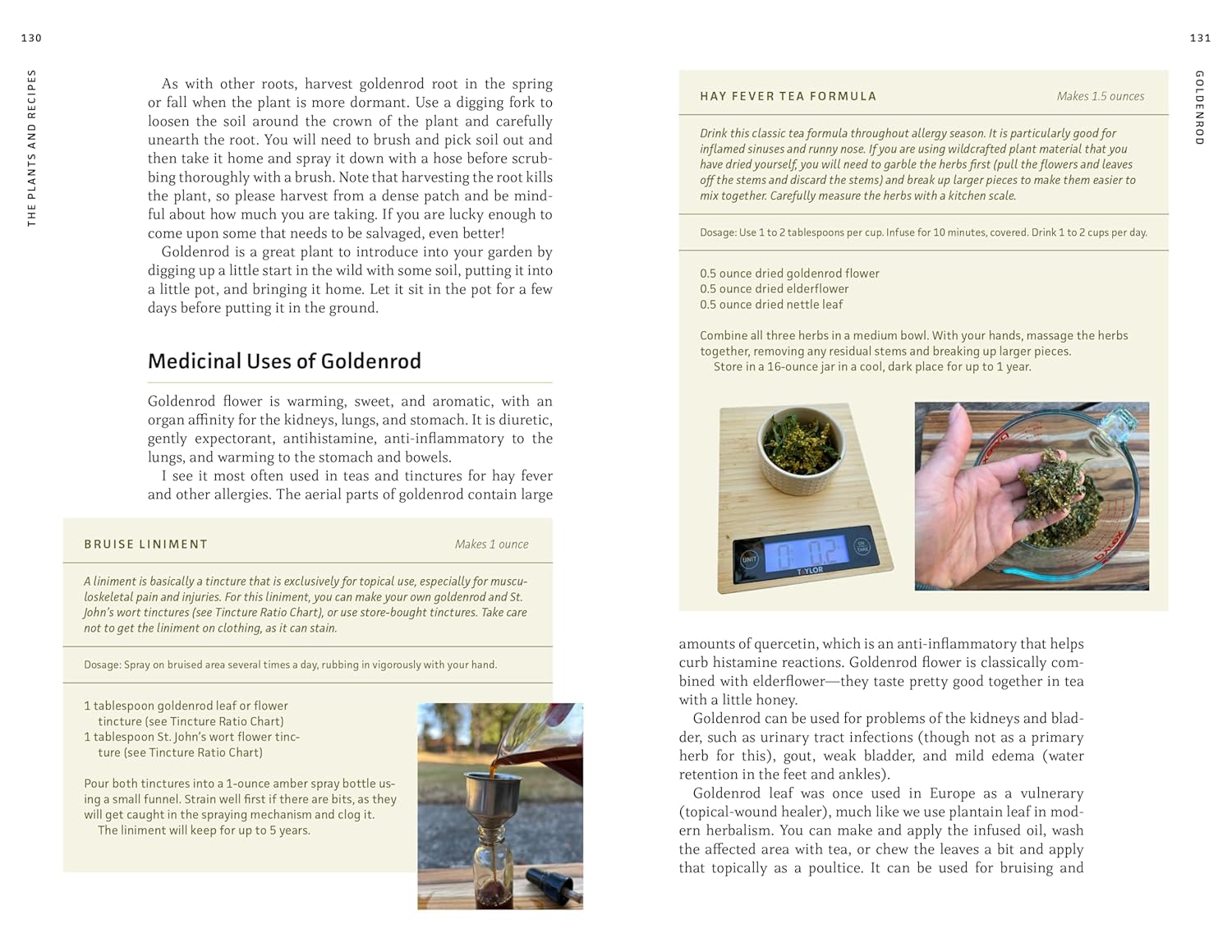Medicinal Plants Of The Pnw: A Visual Guide To Harvesting & Healing by Hammerqui 9781680516975_3