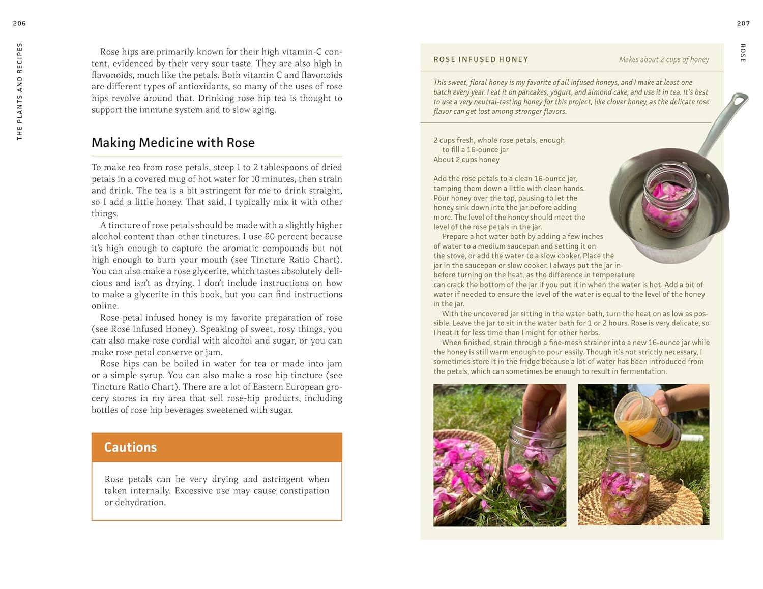 Medicinal Plants Of The Pnw: A Visual Guide To Harvesting & Healing by Hammerqui 9781680516975_6