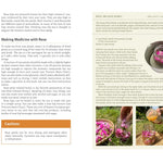 Medicinal Plants Of The Pnw: A Visual Guide To Harvesting & Healing by Hammerqui 9781680516975_6